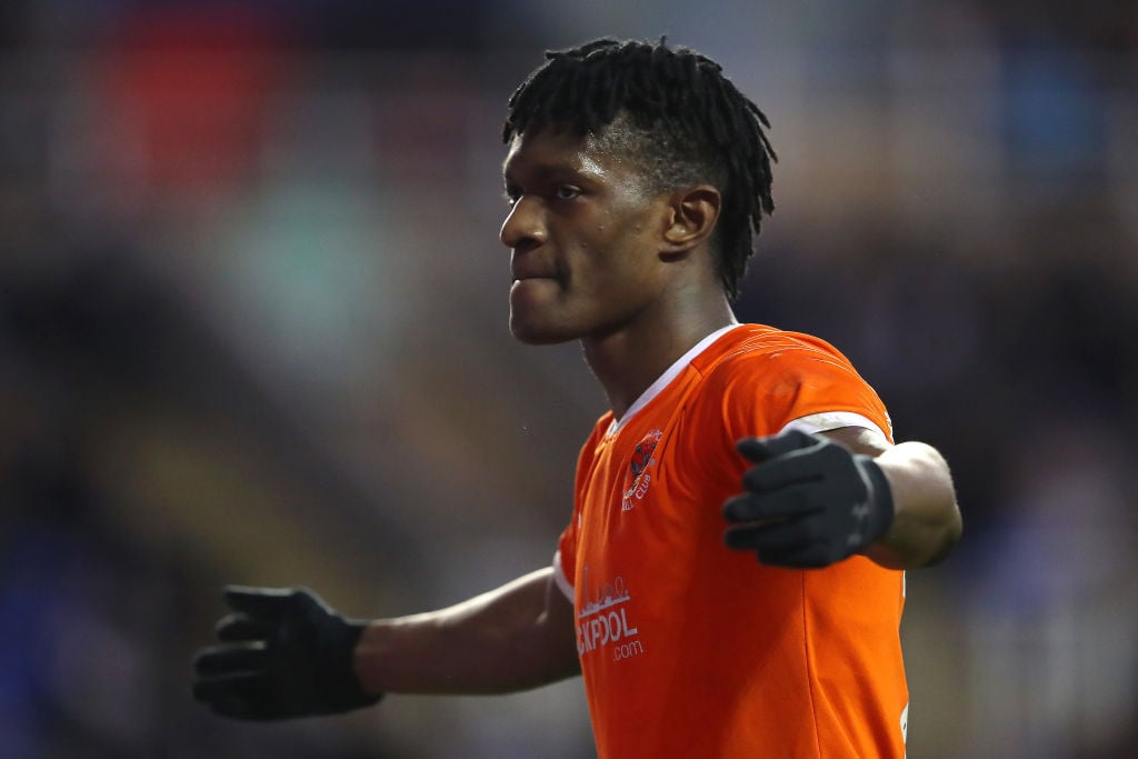 Should Preston consider move for Armand Gnanduillet after Blackpool exit?