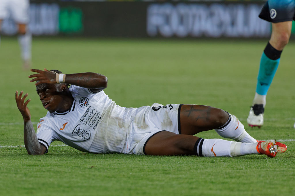 Swansea City v Millwall - Sky Bet Championship